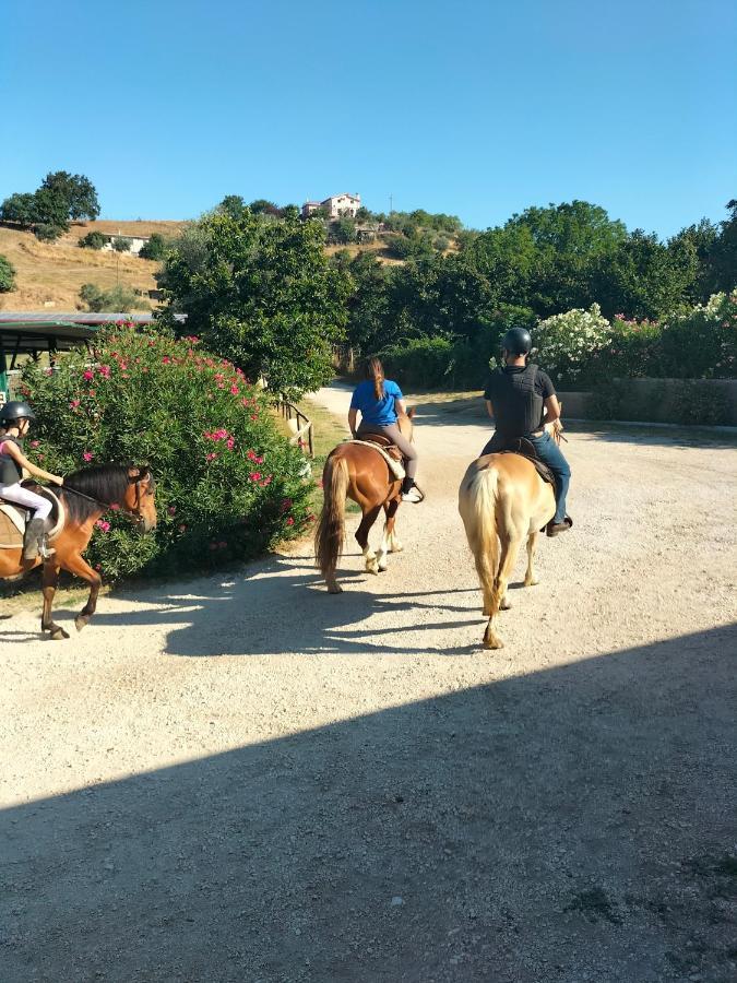 Country house Agrimar 2 Rignano Flaminio