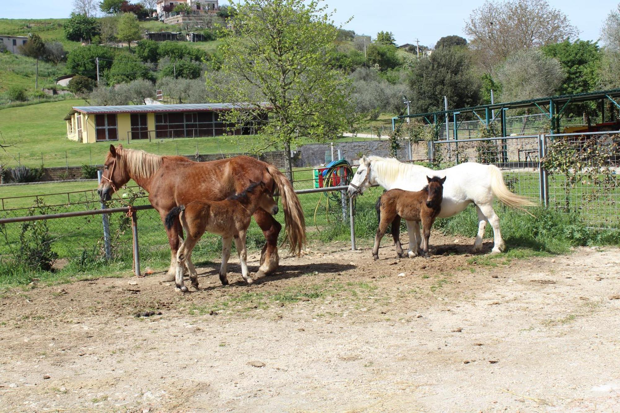 Country house Agrimar 2 *